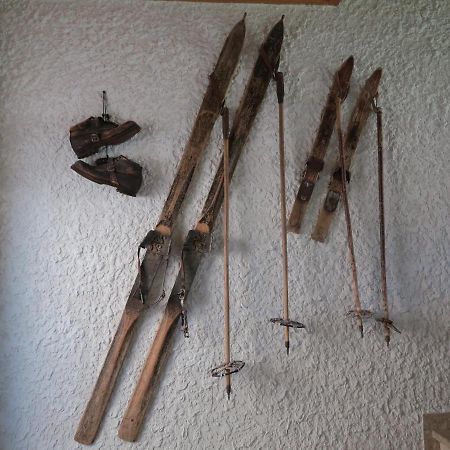 Ferienwohnung Kunterbunt Гозау Экстерьер фото